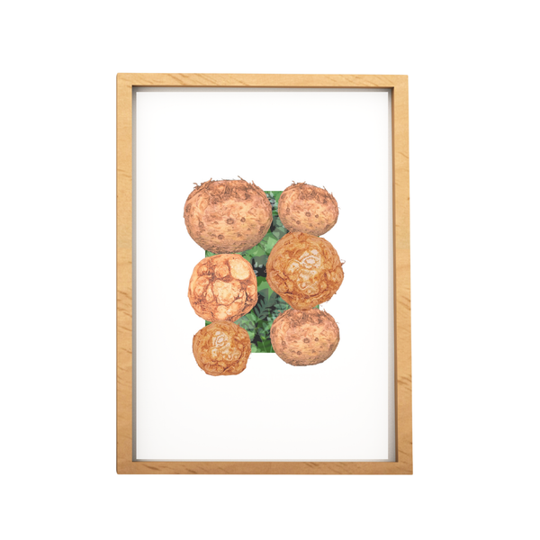 Celeriac Vegetable Collage Print
