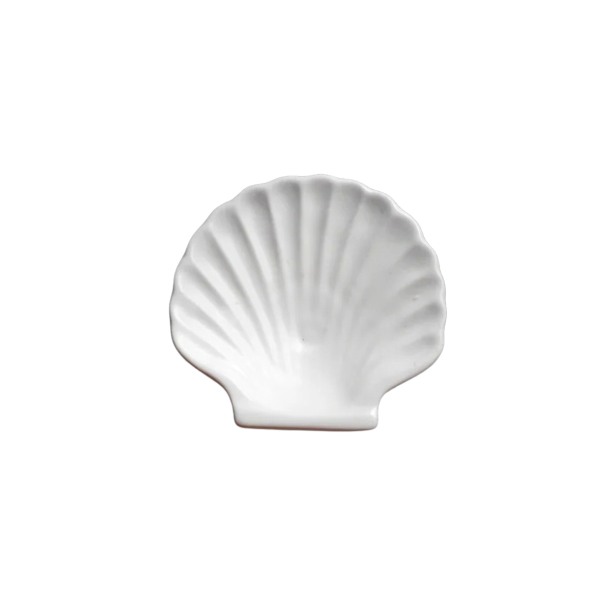 Shell Side Plate - Matte