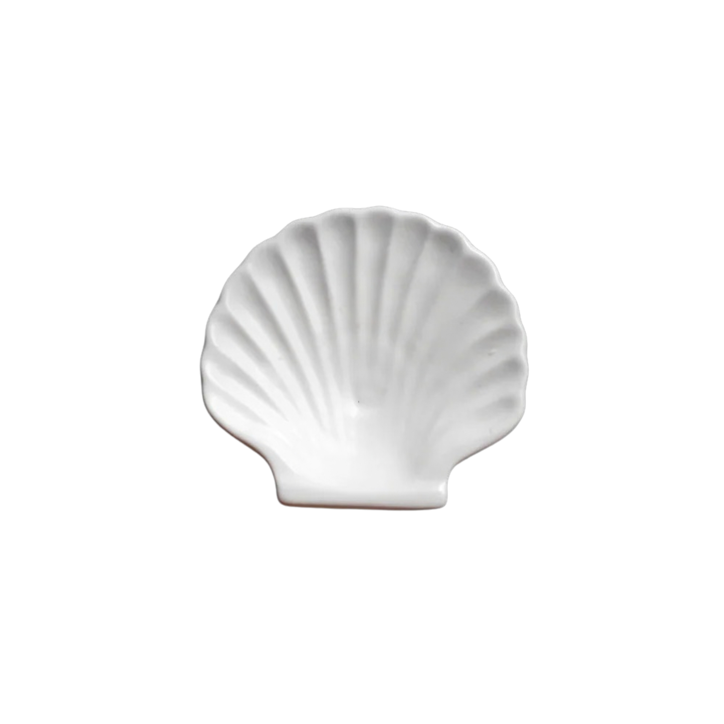 Shell Side Plate - Matte