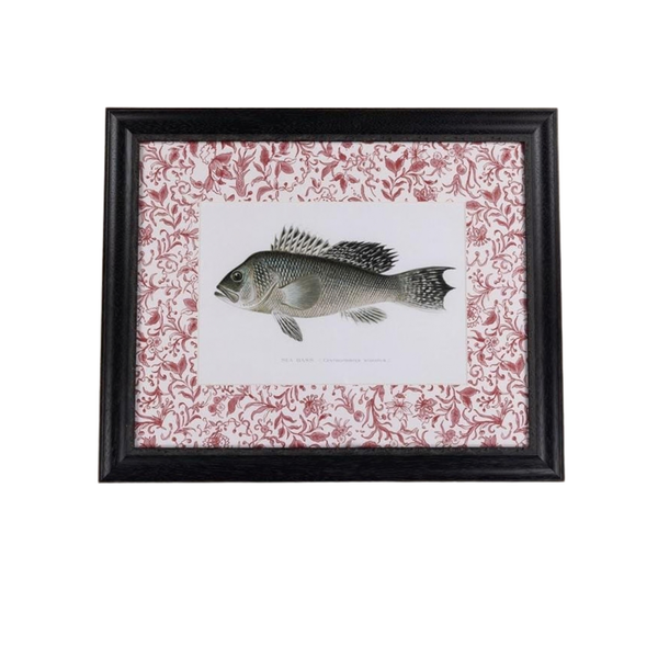 Fish III Framed Print Noble Vintage for the English Home