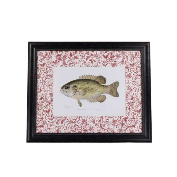 Fish IV Framed Print British, and Just a Bit Brilliant