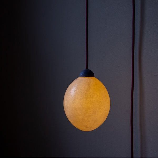 Lunar Lumin | Eggshell lamp