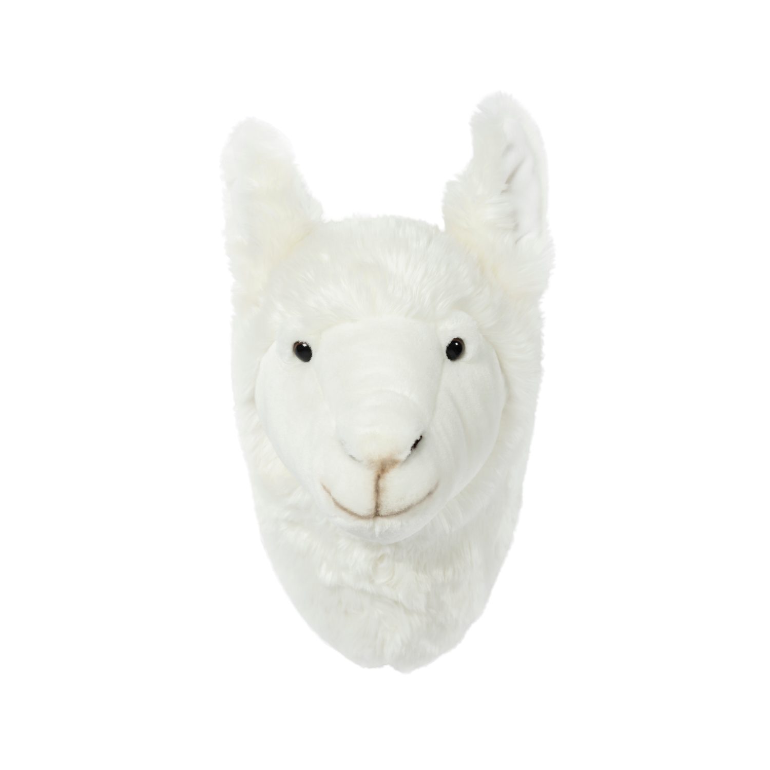 Lily the Llama Wall Mounted Plush Head