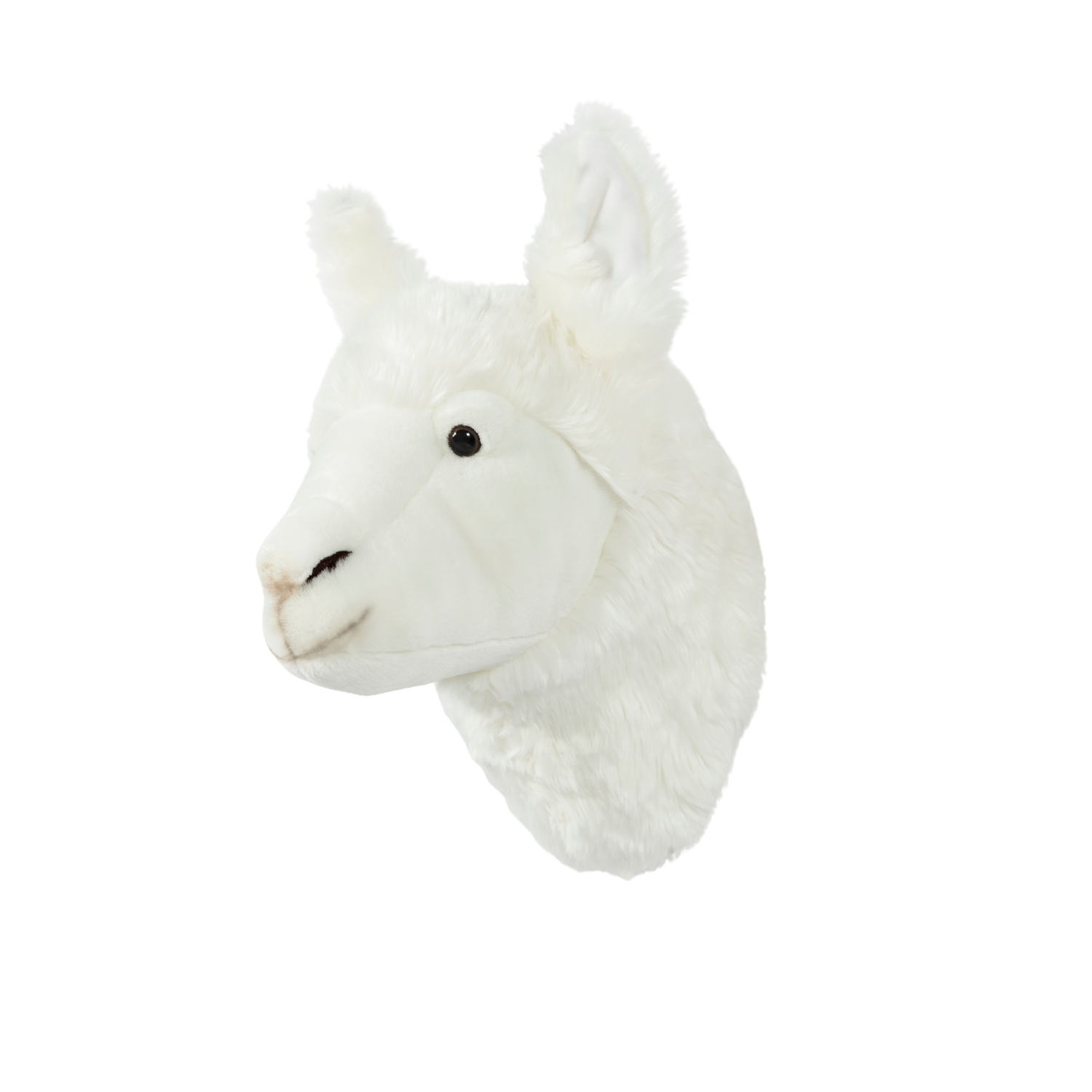Lily the Llama Wall Mounted Plush Head