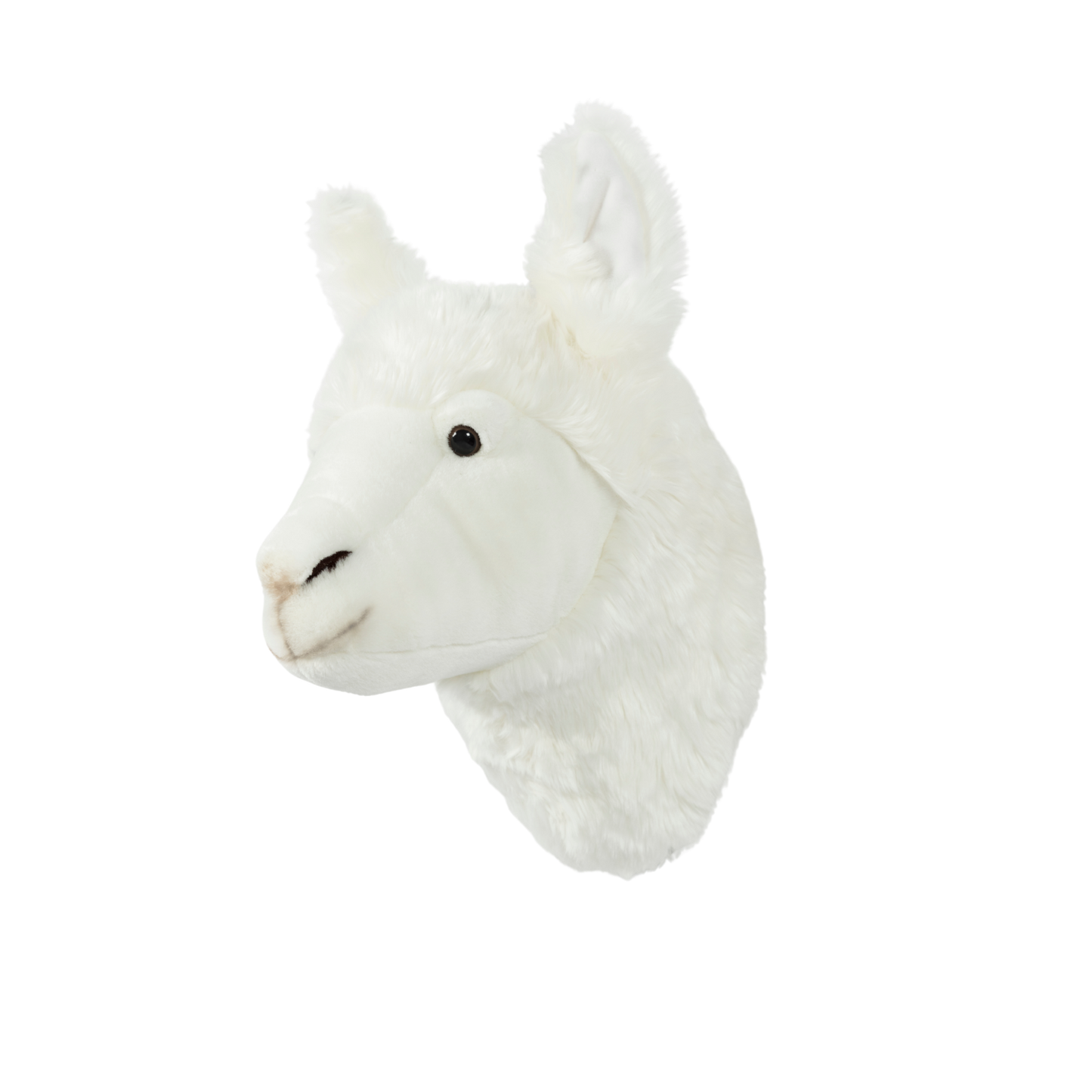 Lily the Llama Wall Mounted Plush Head