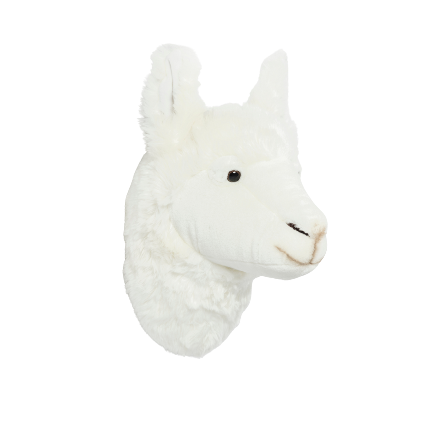 Lily the Llama Wall Mounted Plush Head