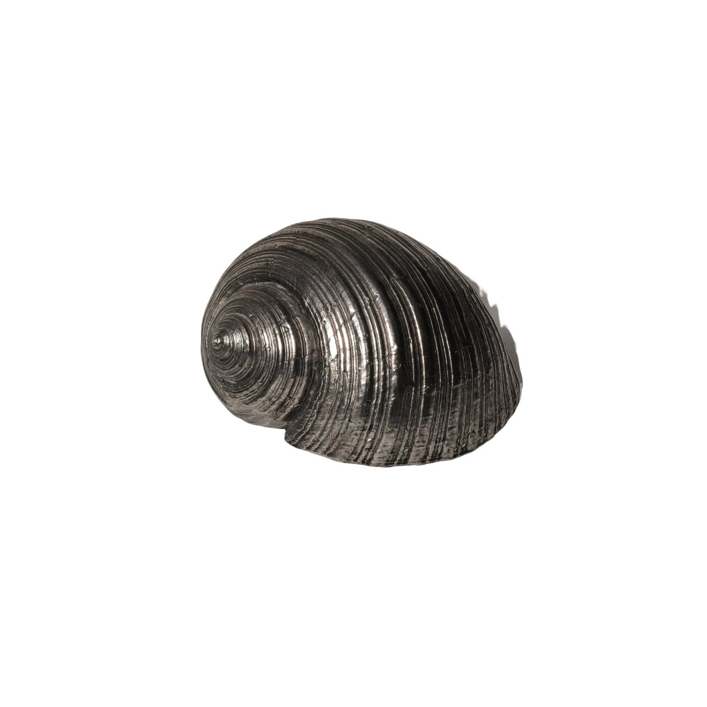 Vintage Silver Shell Sculpture