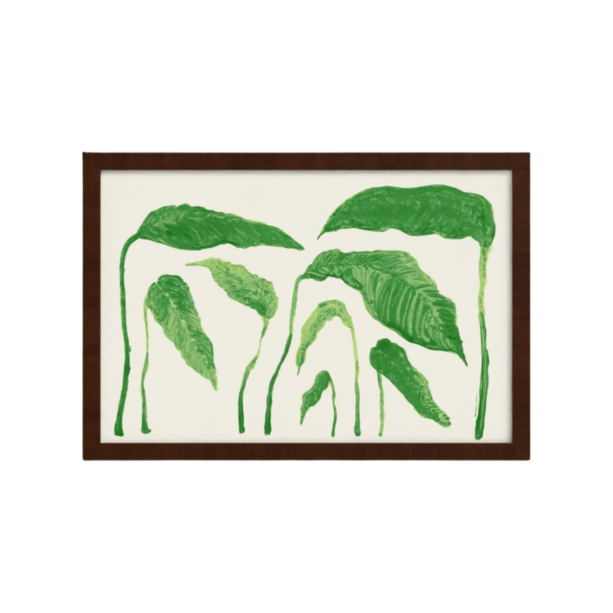 Planta - Print