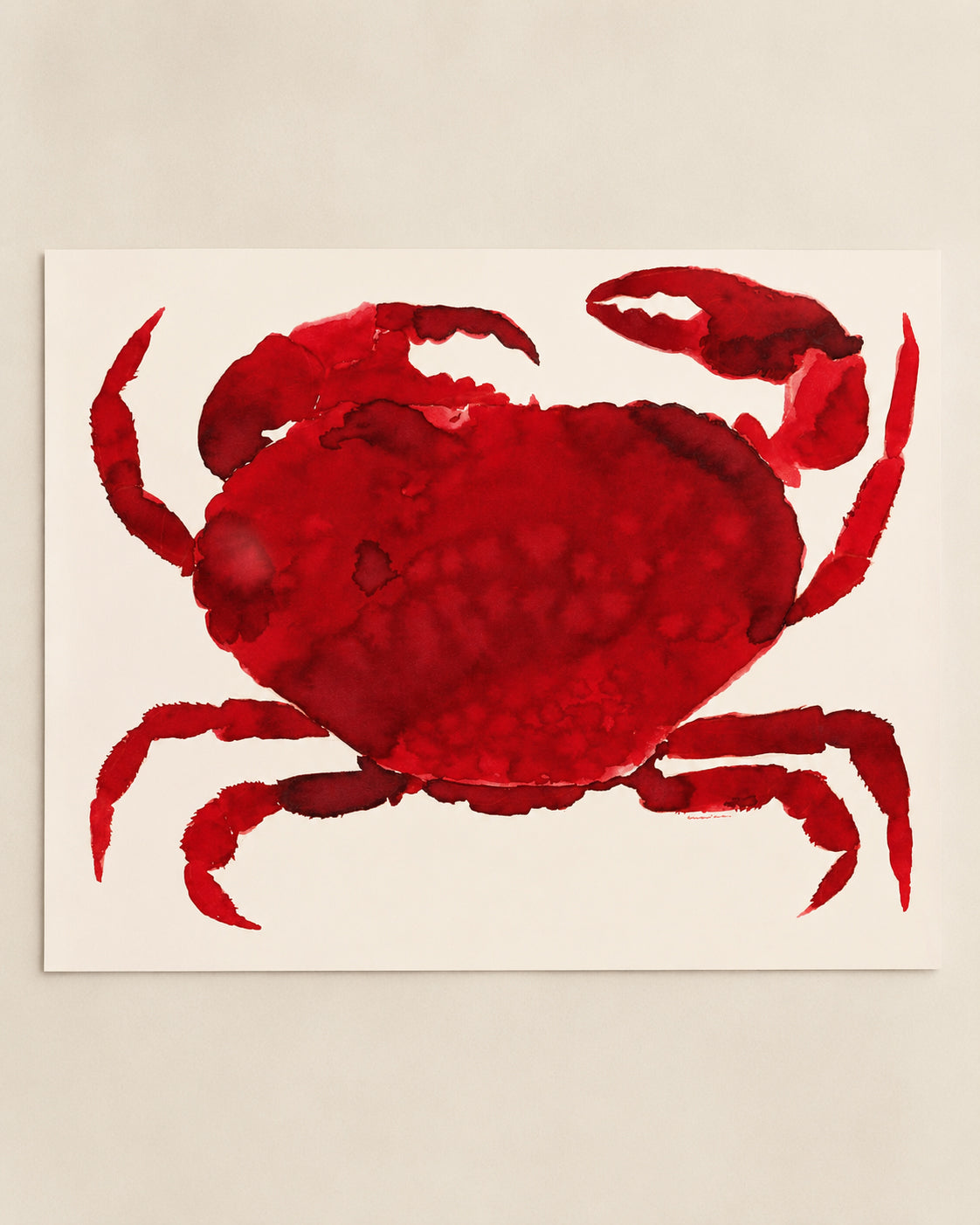 Cangrejo Rojo Print