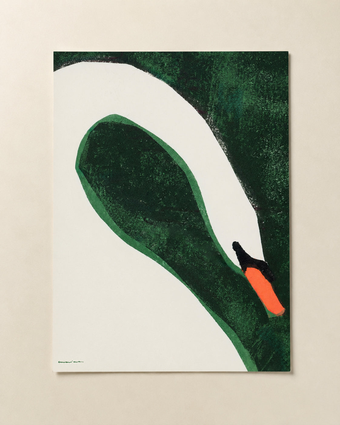 Cisne - Print