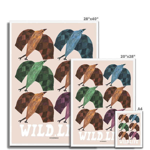 Wild Life Birds Print