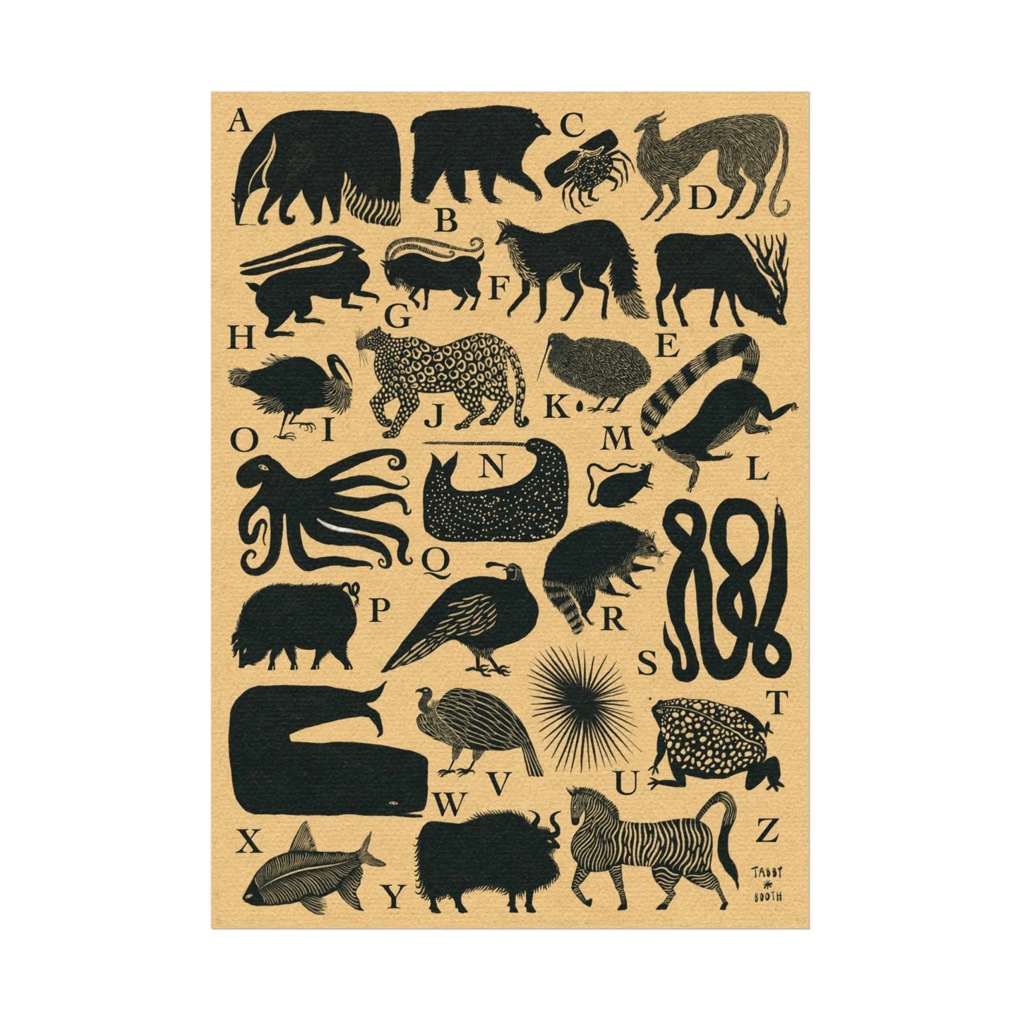 Tabby Booth Fine Art Print • Alphabet for Animals