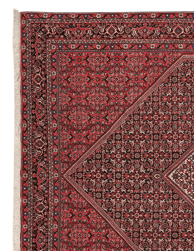 Bidjar — Hand-knotted, 208x298 cm, Blue, 100% Virgin Wool | View 3