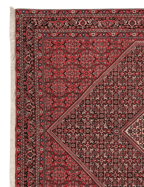 Bidjar — Hand-knotted, 208x298 cm, Blue, 100% Virgin Wool | View 3