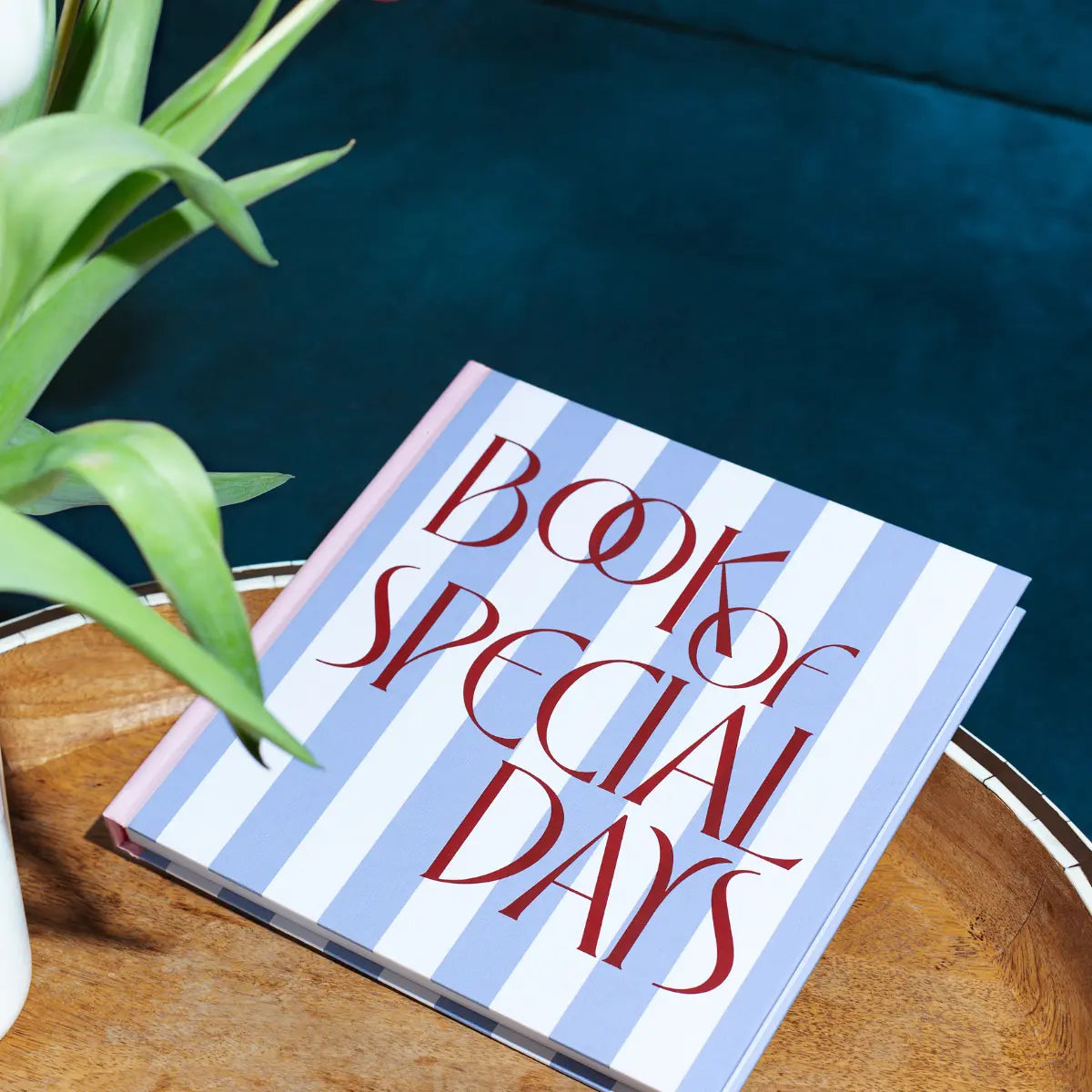 Book of Special Days - Classic Stripe