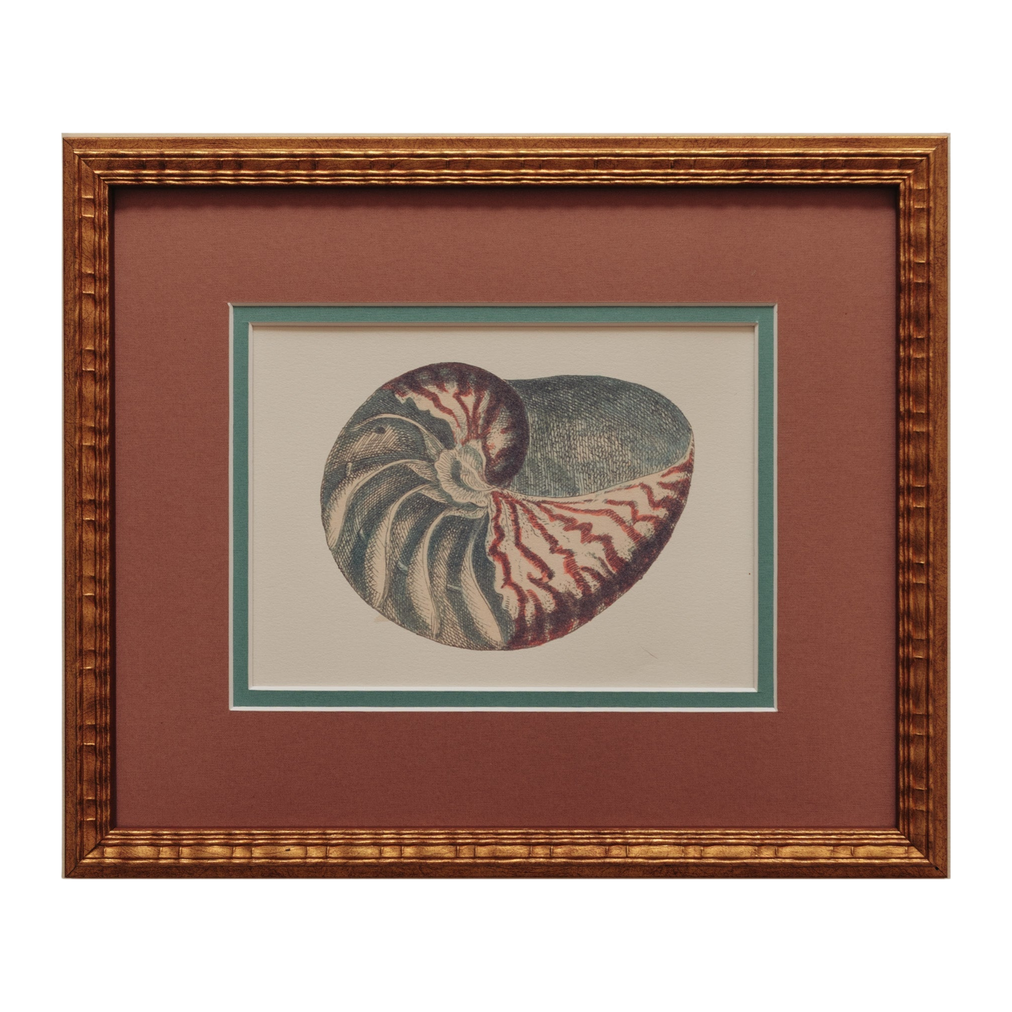 The Nautilus Studies Print