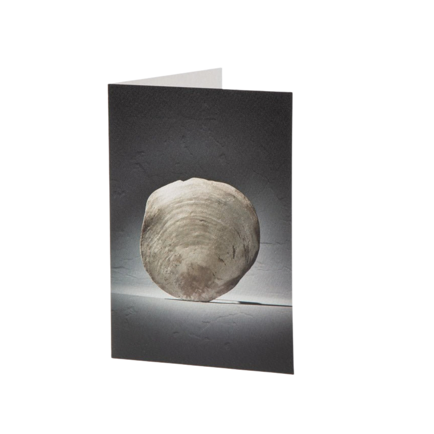 Fine Art Card - Ocean Find