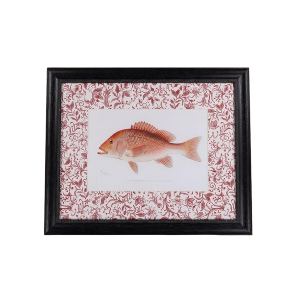 Fish Study I  Vintage Character for Every Corner