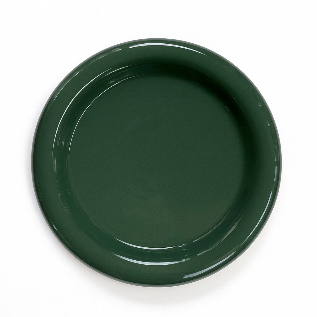 Tostadita Plate Big