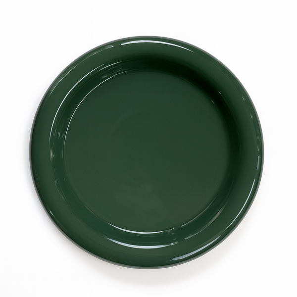 Tostadita Plate Big