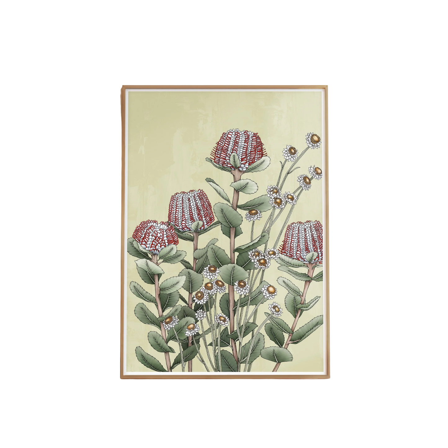 Scarlet Banksia Portrait Artprint