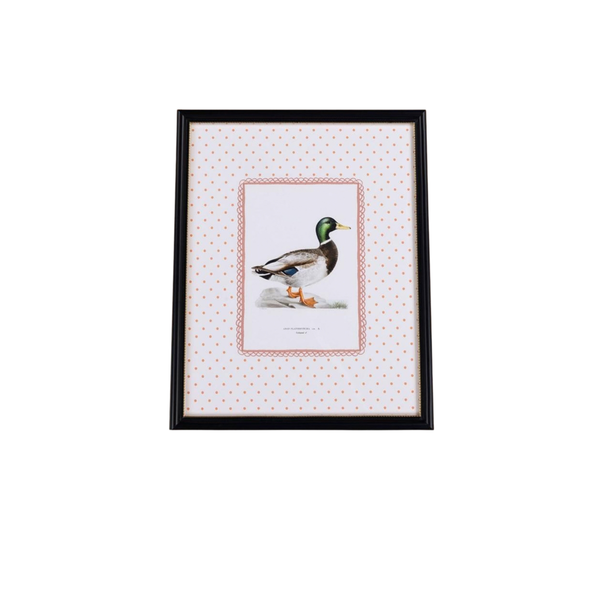 Feather and Grace Duck Print III