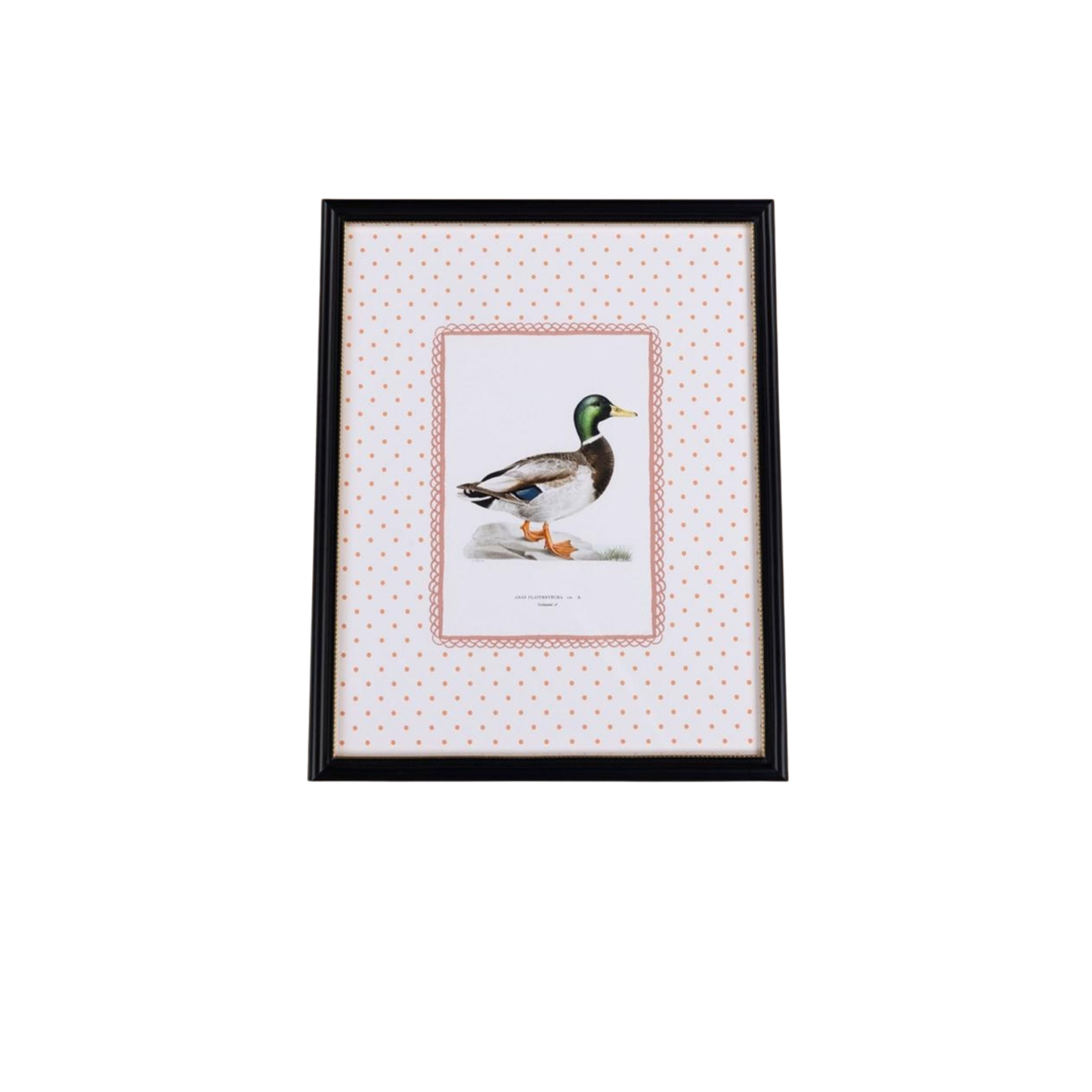 Feather and Grace Duck Print III