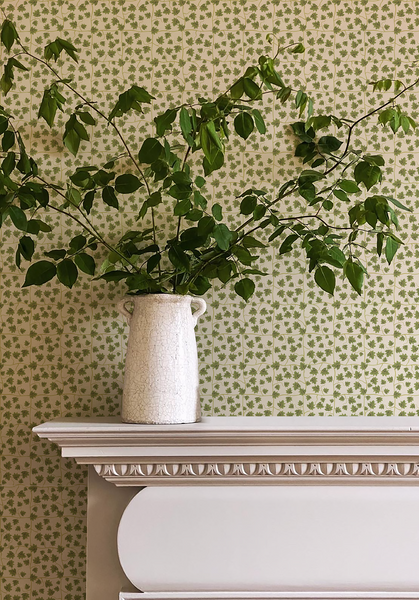 Edera Wallpaper - Moss