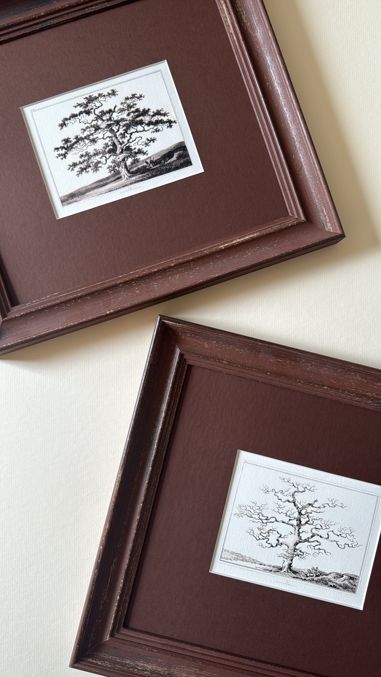 The Old Oak Tree Artwork