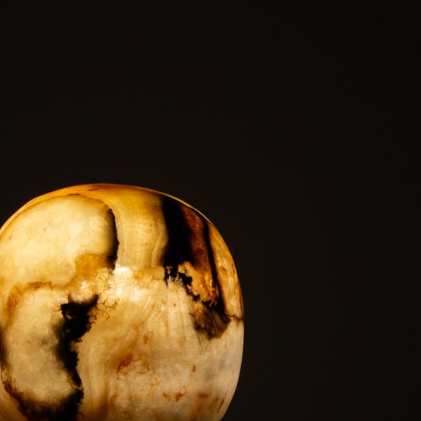 Seeba Maple Lamp