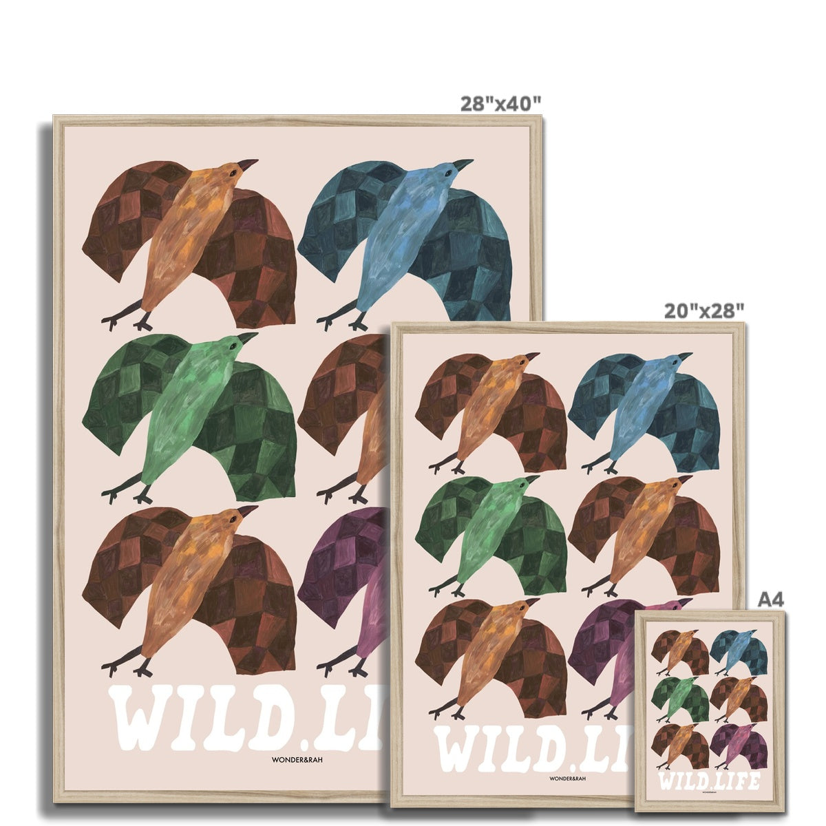 Wild Life Birds Print