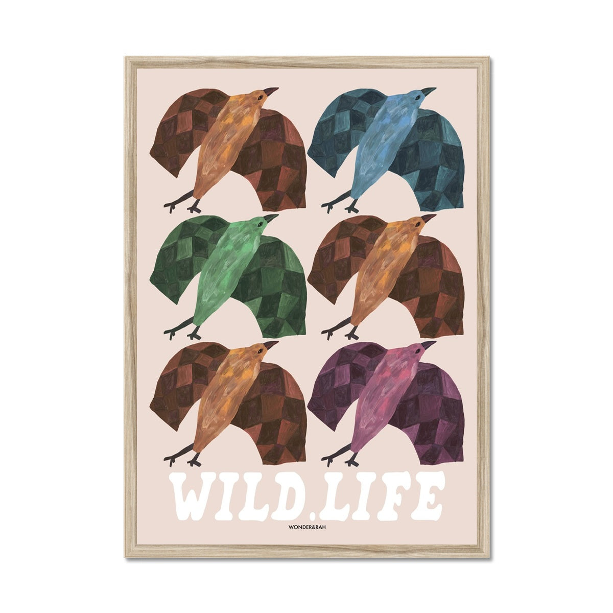Wild Life Birds Print