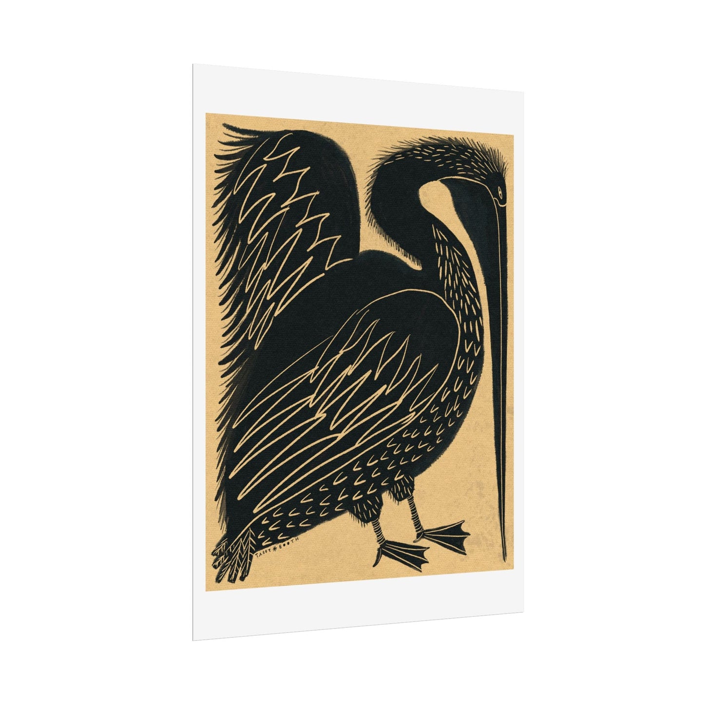 Tabby Booth PELICAN Fine Art Print