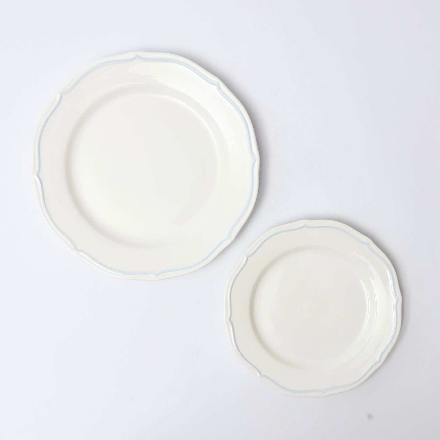 The Everyday Dinner Plate - Blue