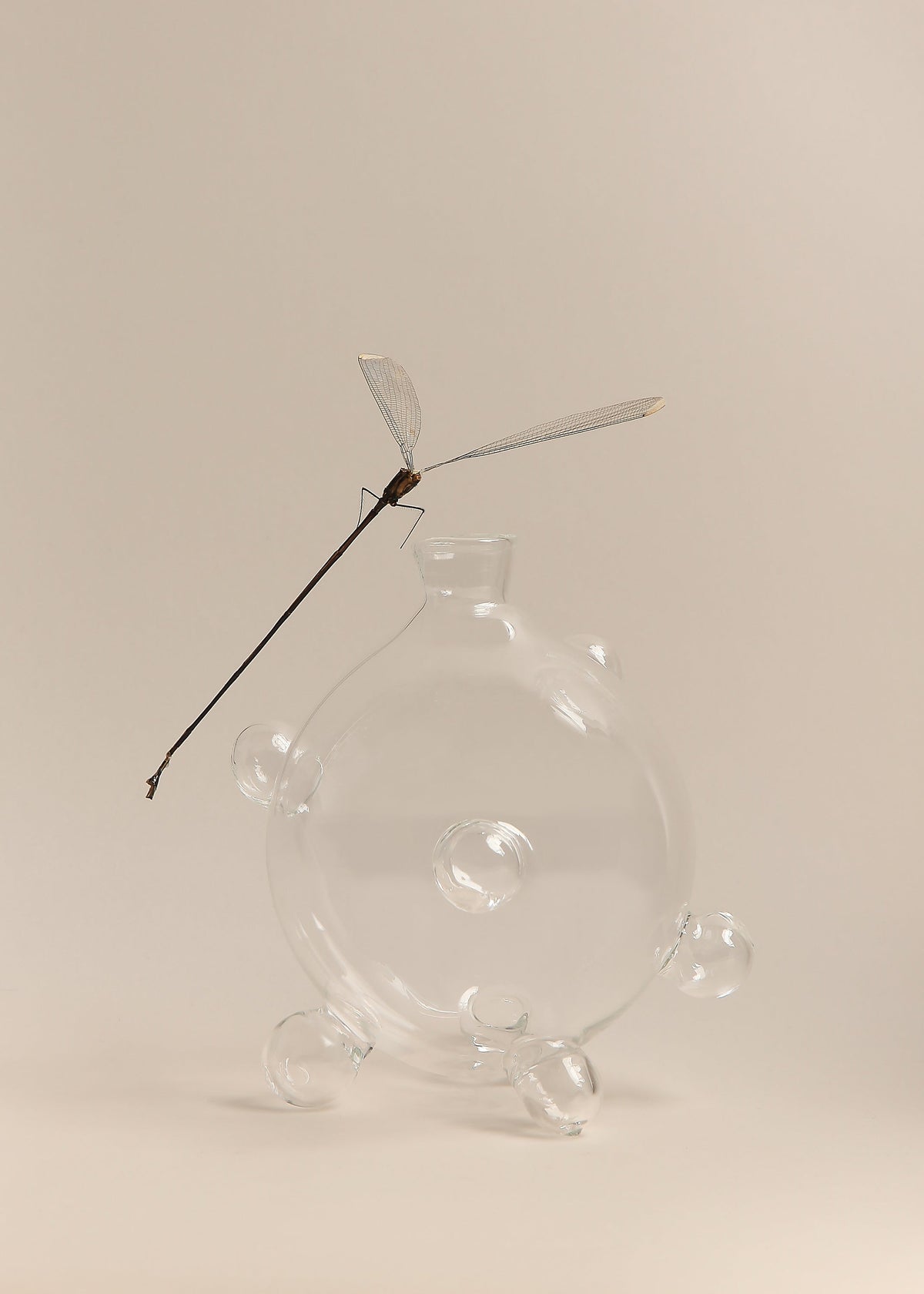 Bubble Vases