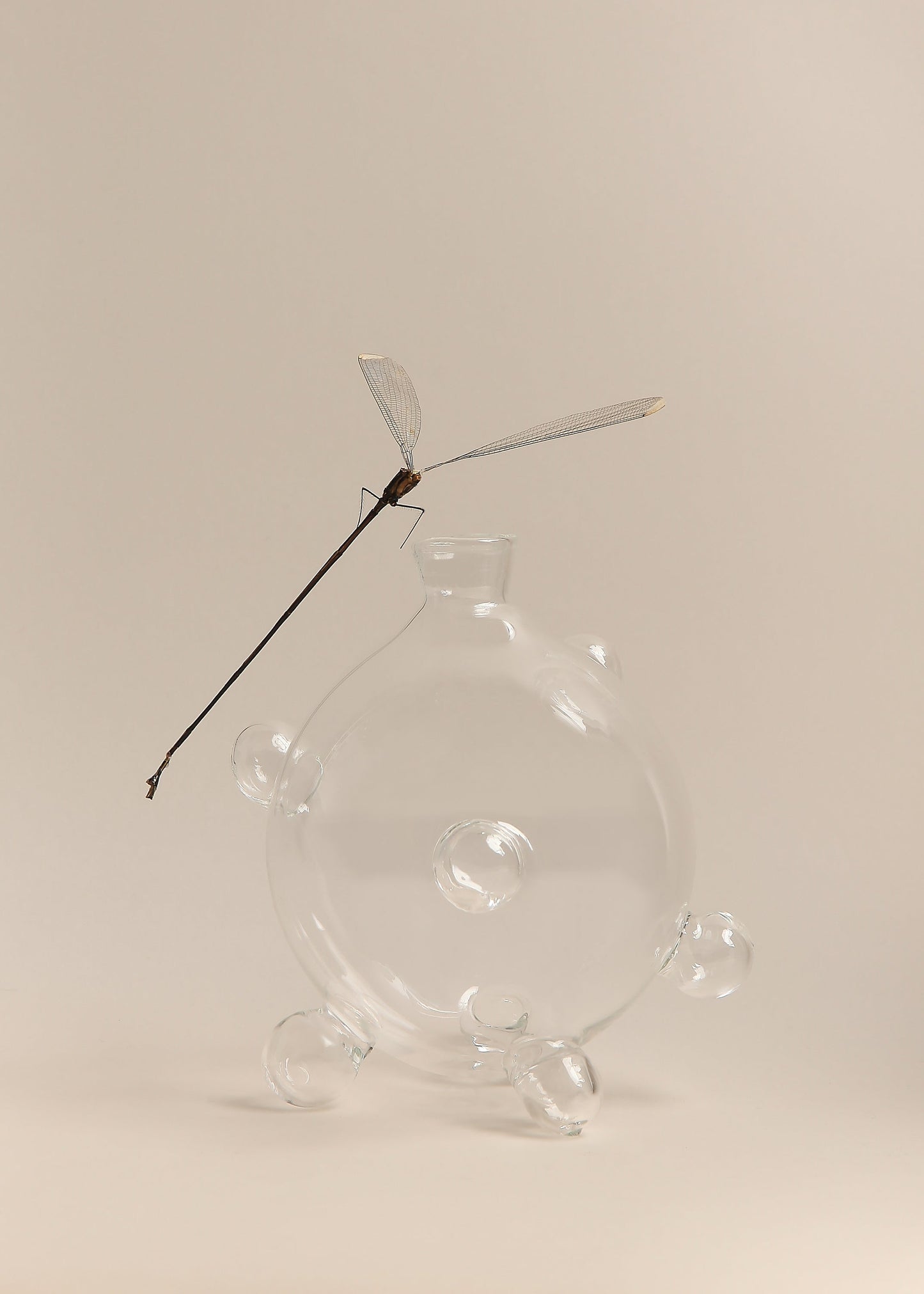 Bubble Vases