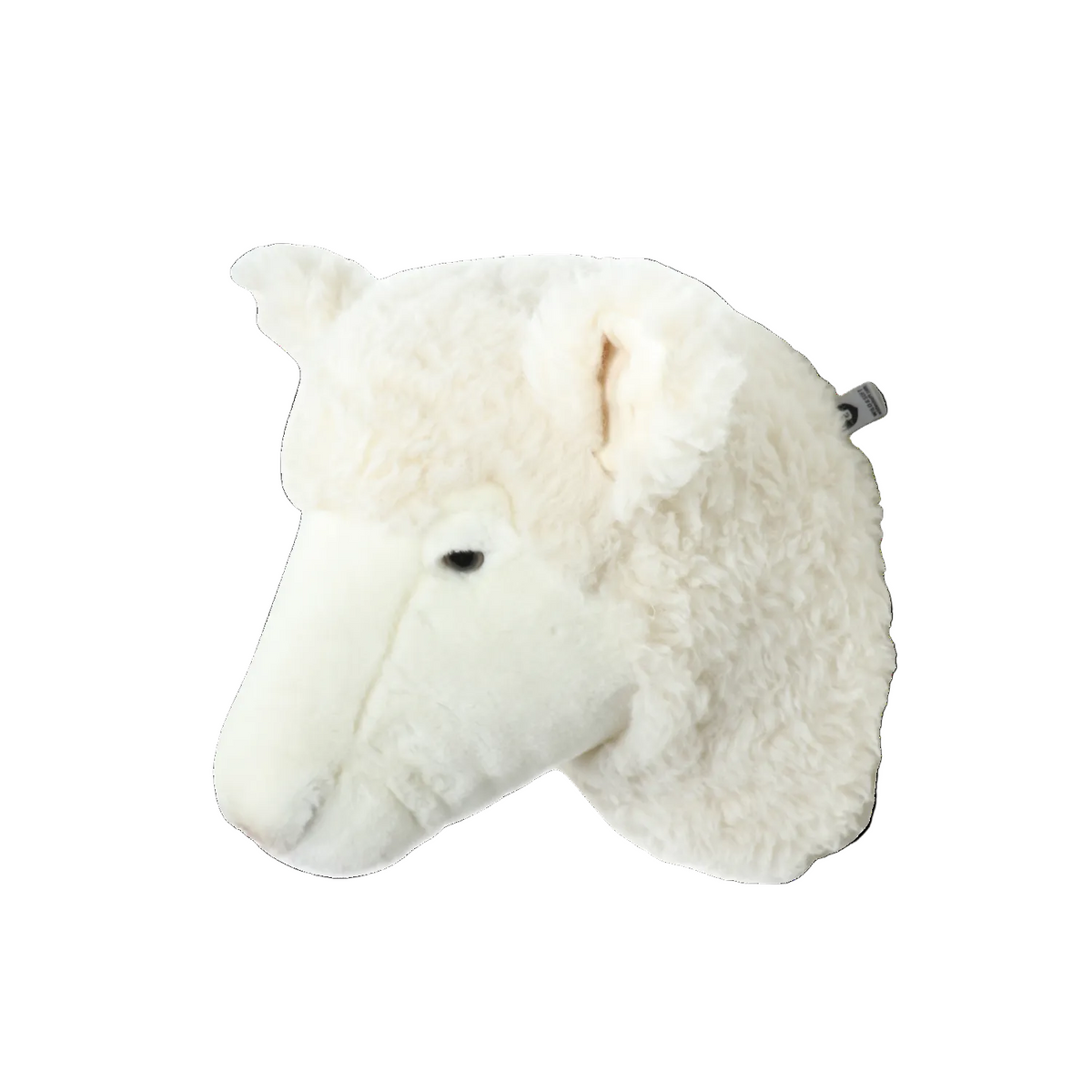 Harry the sheep