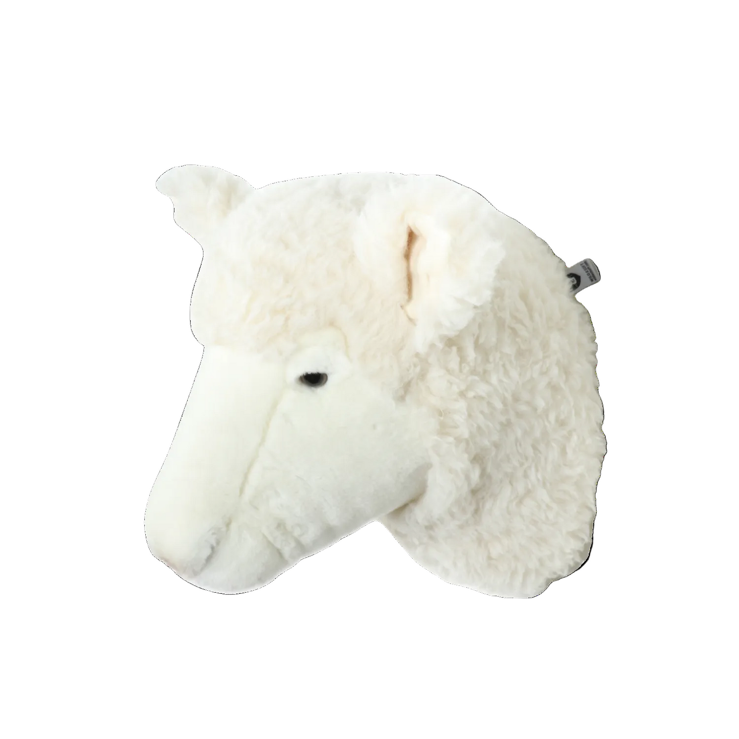 Harry the sheep