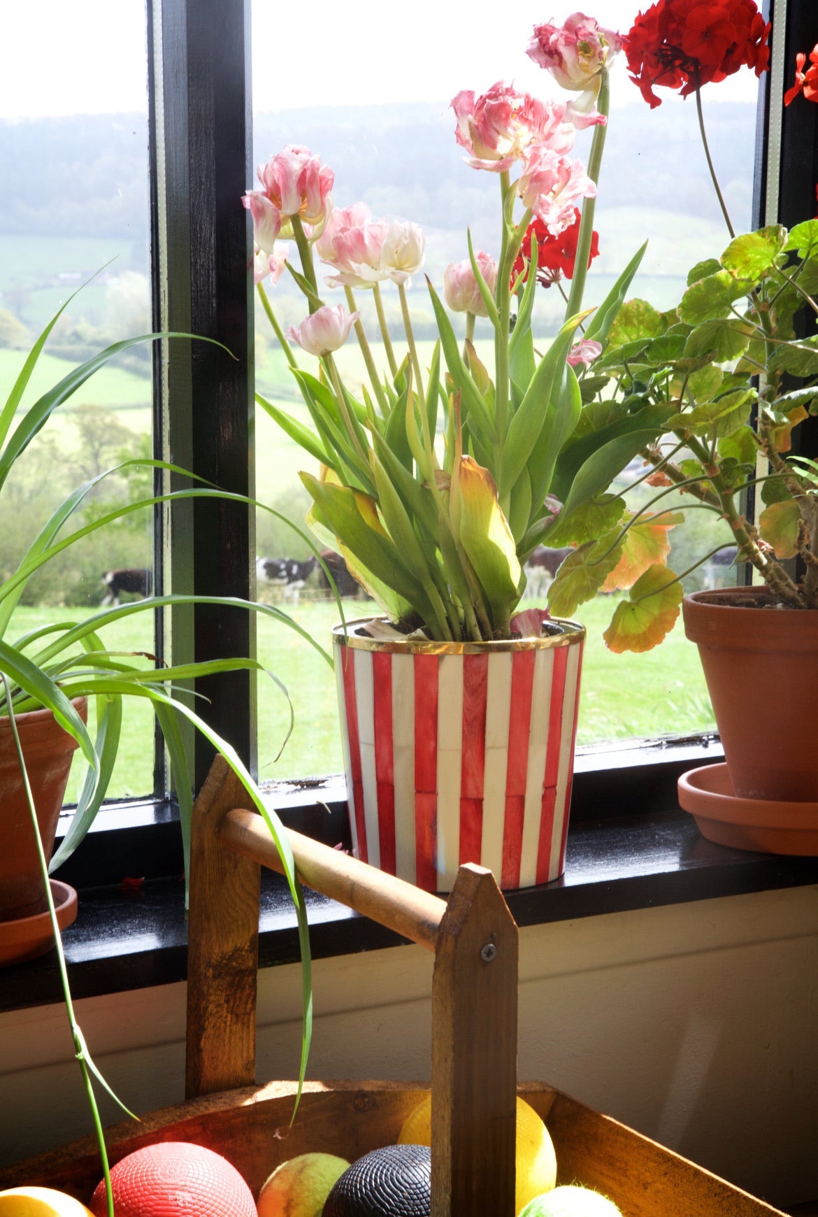 Round Inlay Planter | Medium | Red | Striped