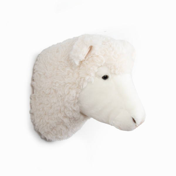 Harry the sheep
