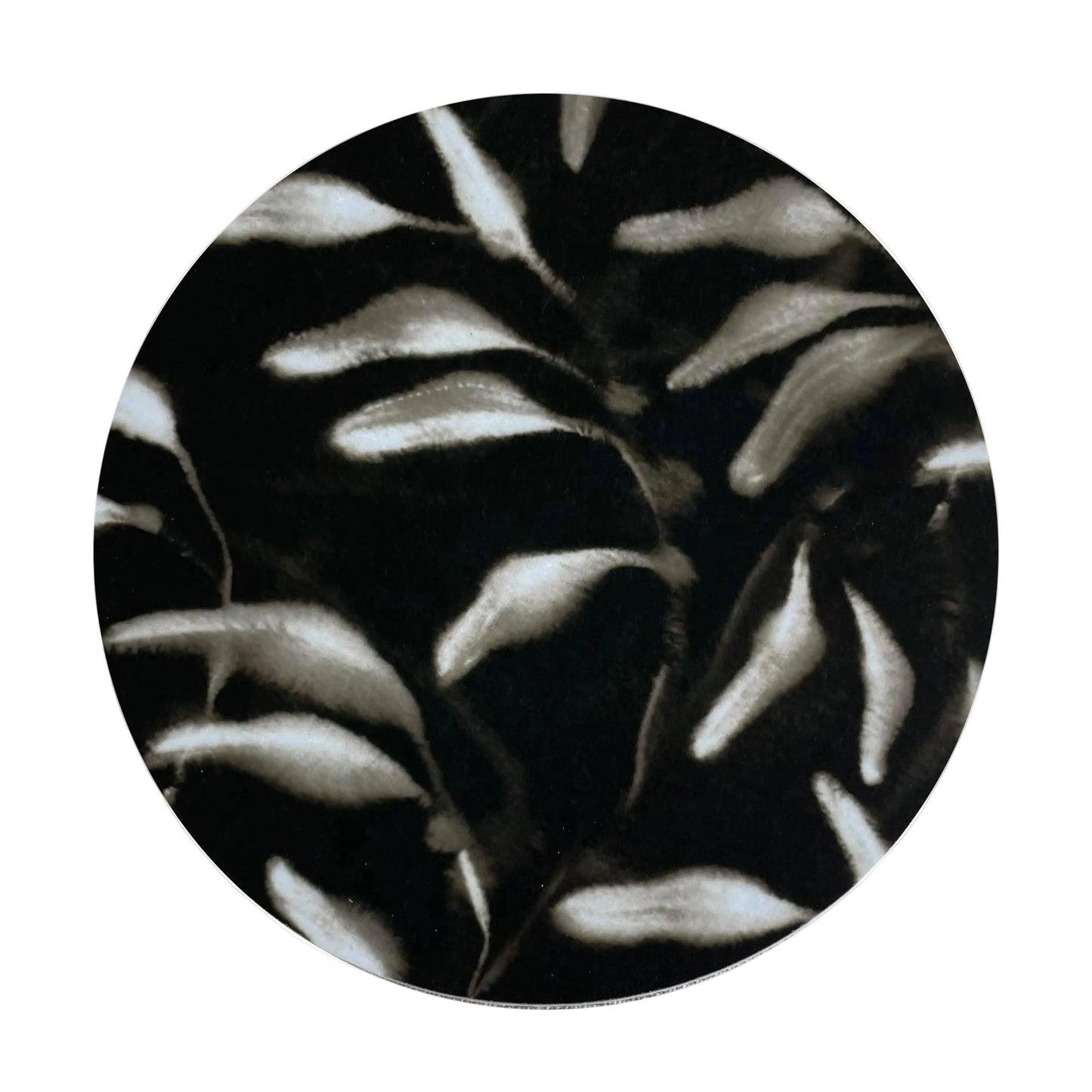 Set of 4 Amongst Round Coasters, Black Gold