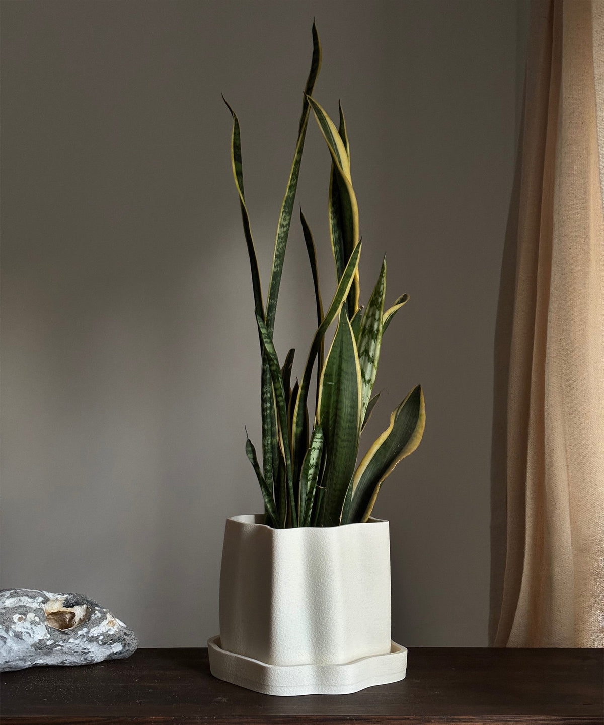 Amanitas Garden | Plant Pot 01 | Sandstone