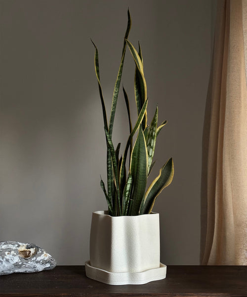 Amanitas Garden | Plant Pot 01 | Sandstone