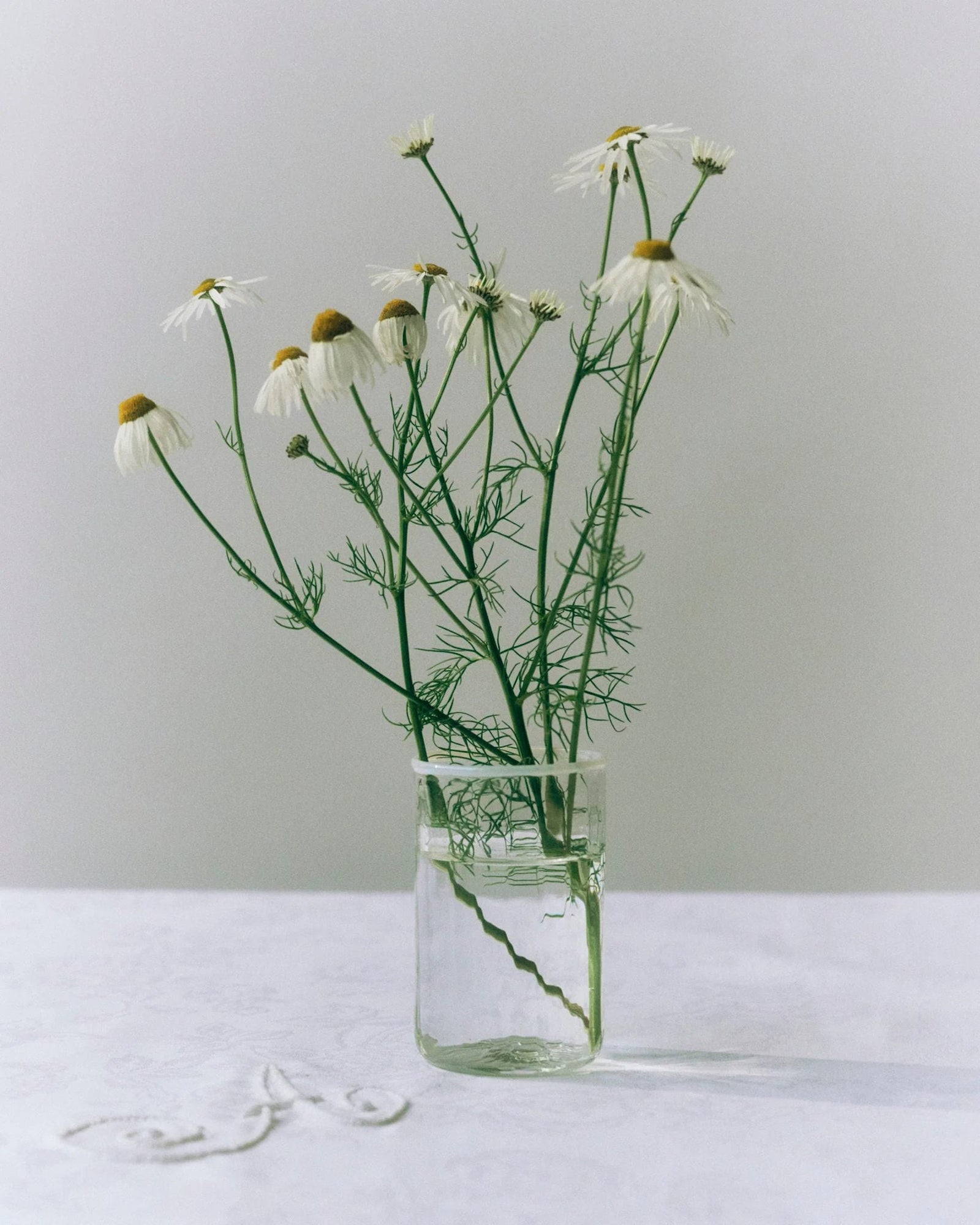 Peter Glass White Small - Set of Four