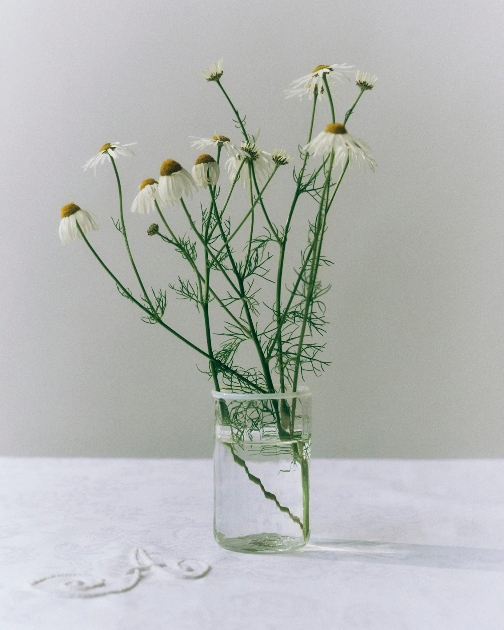 Peter Glass White Small