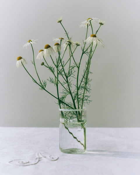 Peter Glass White Small