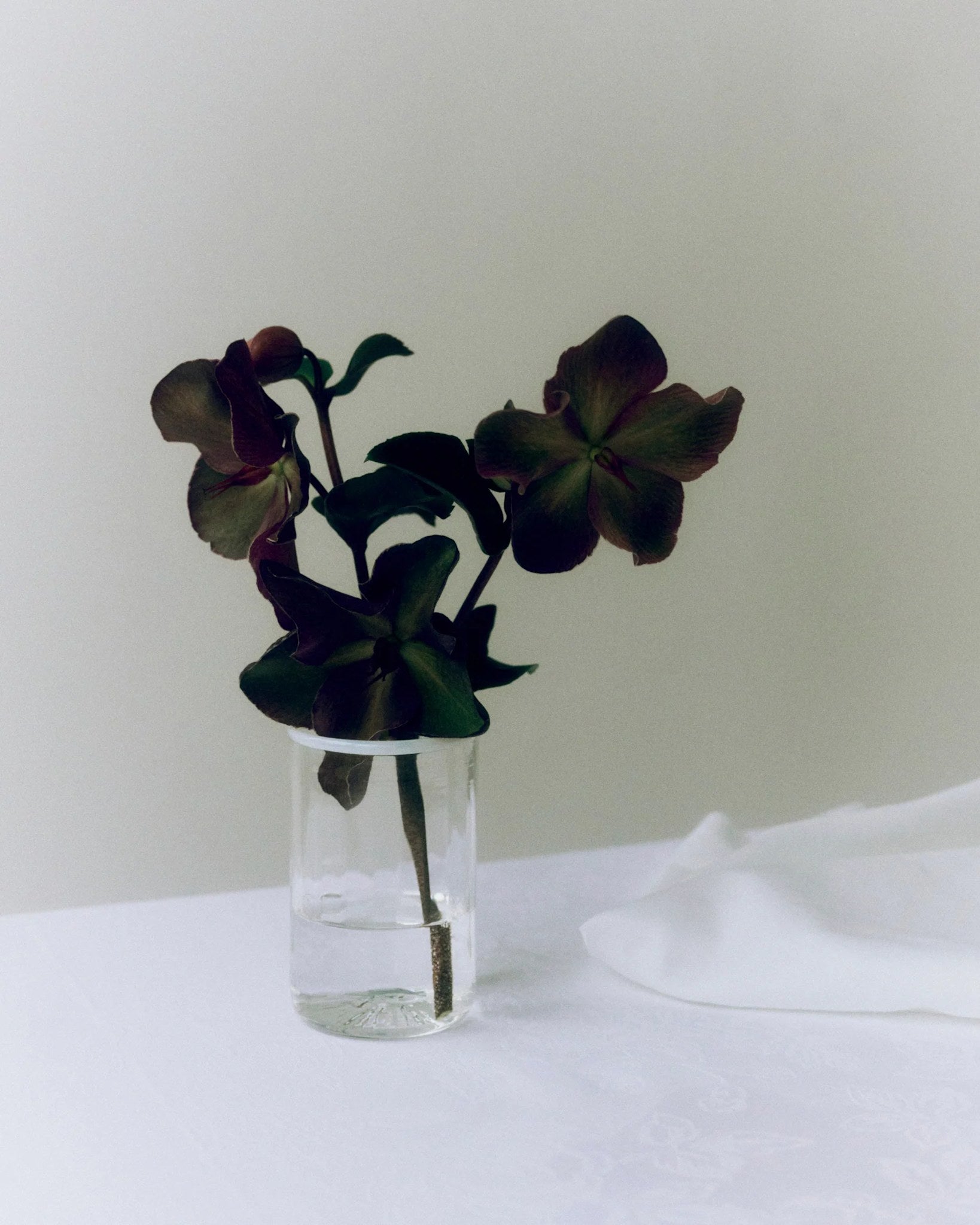 Peter Glass White Small - Set of Four