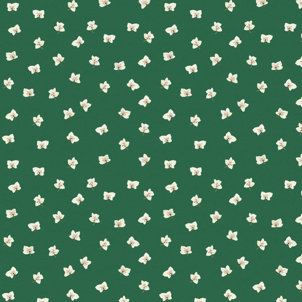 All Year Hellebores Wallpaper – HUNTER