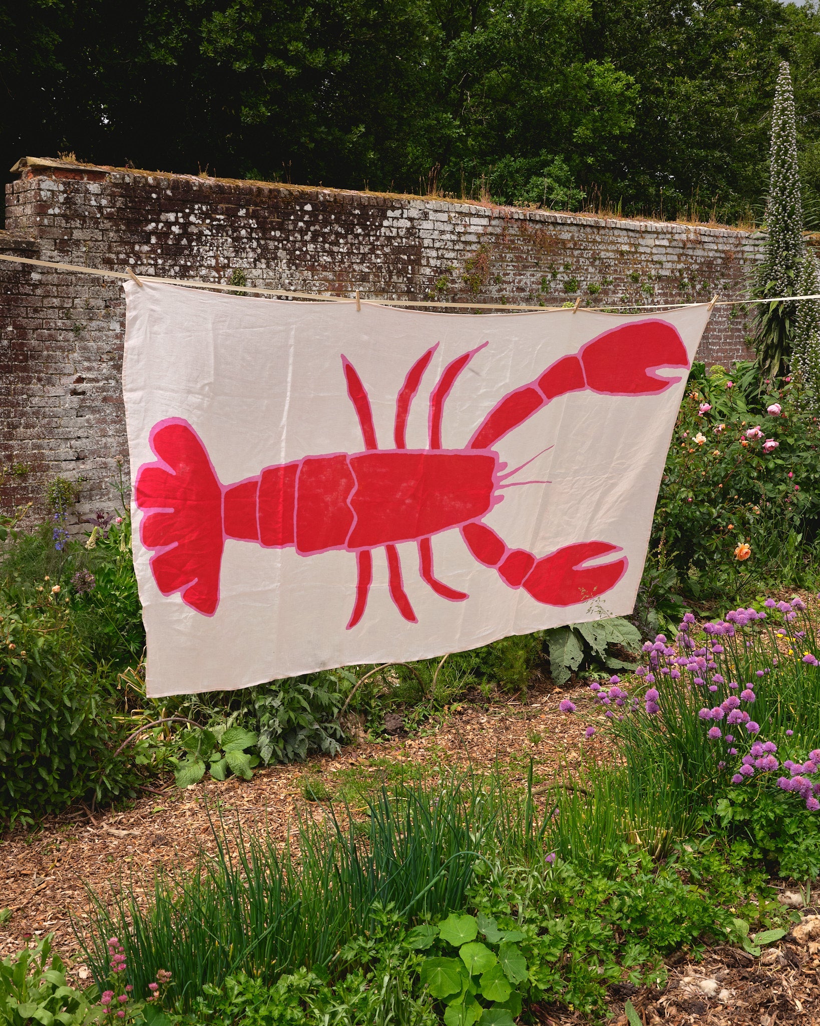 Lobster table linen hanging up on washing line