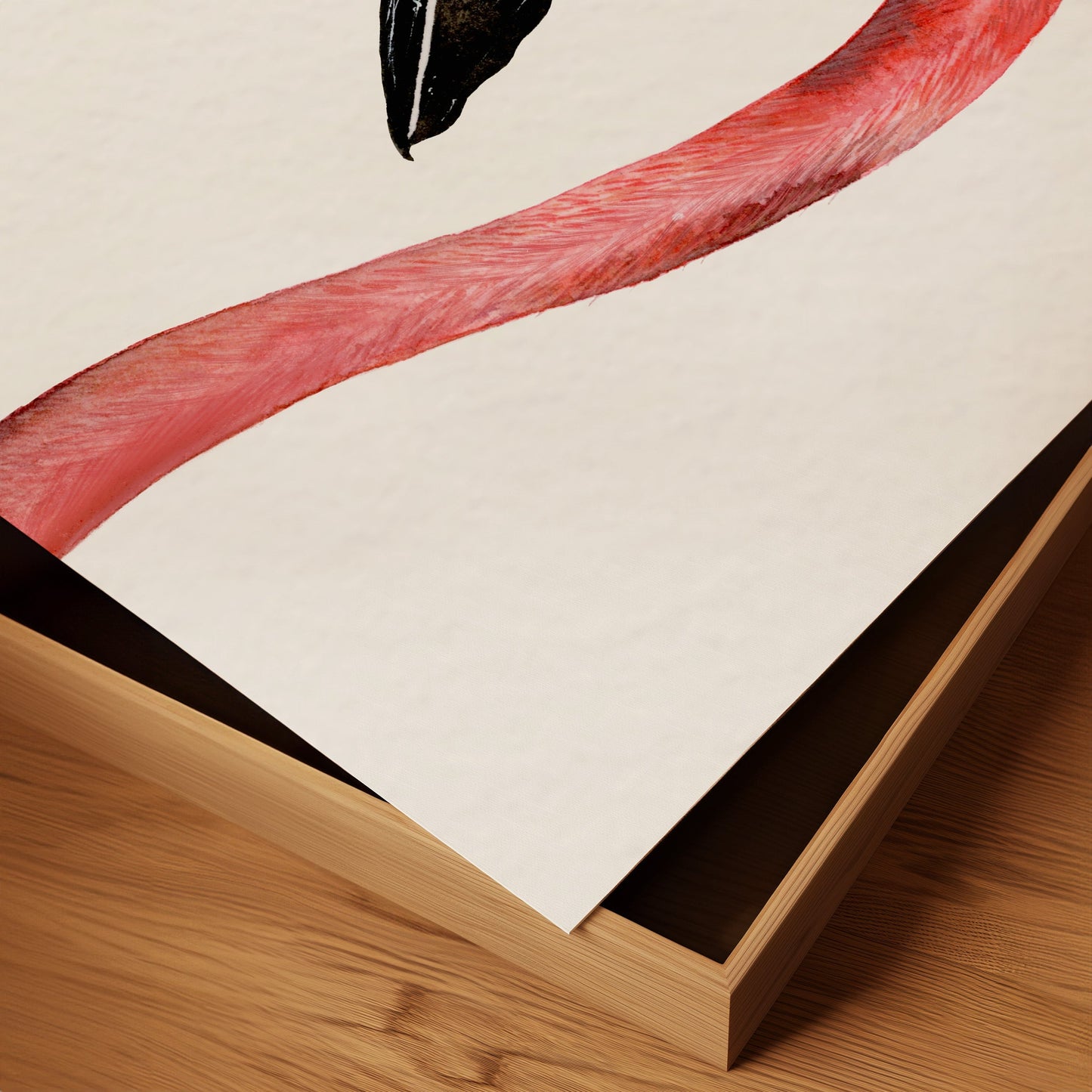 Flamingo Limited Edition Fine Art Print